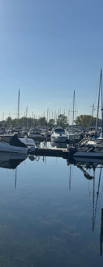 bridgeview marina